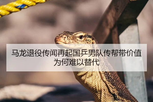 马龙退役传闻再起国乒男队传帮带价值为何难以替代