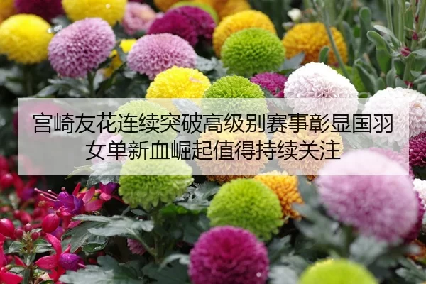 宫崎友花连续突破高级别赛事彰显国羽女单新血崛起值得持续关注