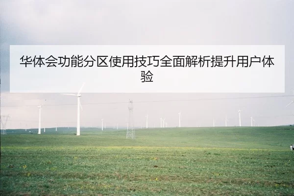 华体会功能分区使用技巧全面解析提升用户体验