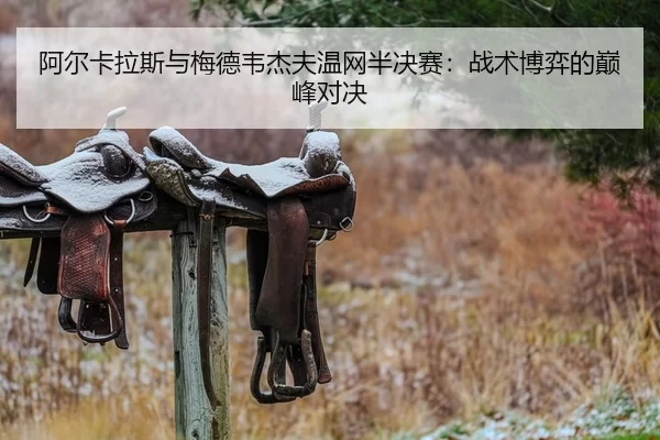 a-er-ka-la-si-yu-mei-de-wei-jie-fu-wen-wang-ban-jue-sai-zhan-shu-bo-yi-de-dian-feng-dui-jue-2-476.jpg