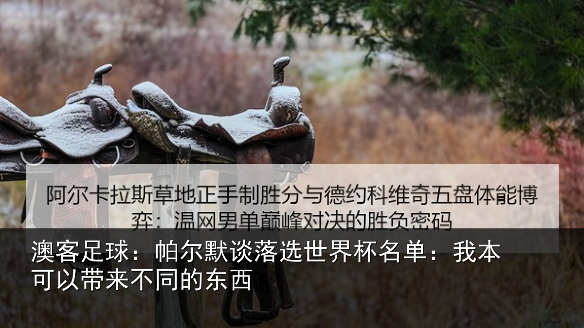 澳客足球：帕尔默谈落选世界杯名单：我本可以带来不同的东西