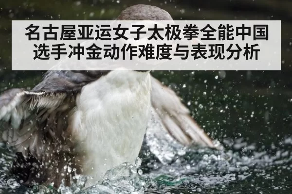 名古屋亚运女子太极拳全能中国选手冲金动作难度与表现分析